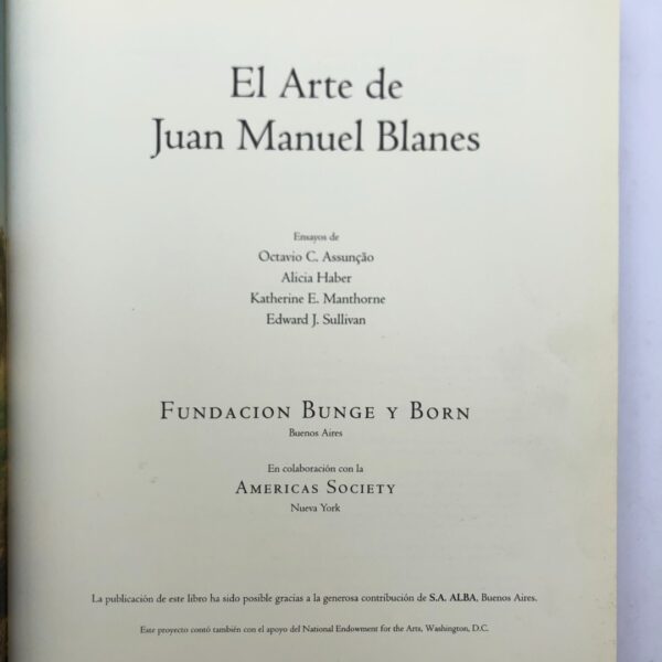 Juan Manuel Blanes