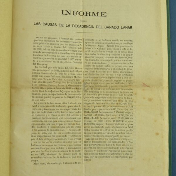 Informe