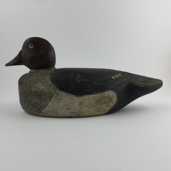 Pato señuelo