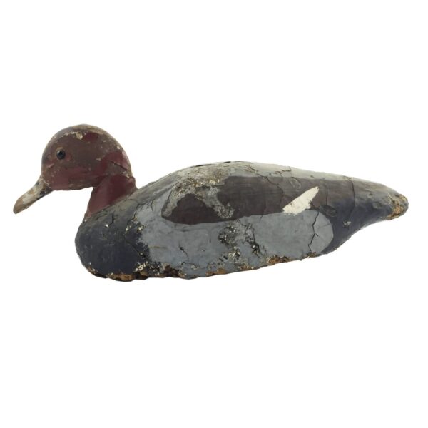 Pato señuelo