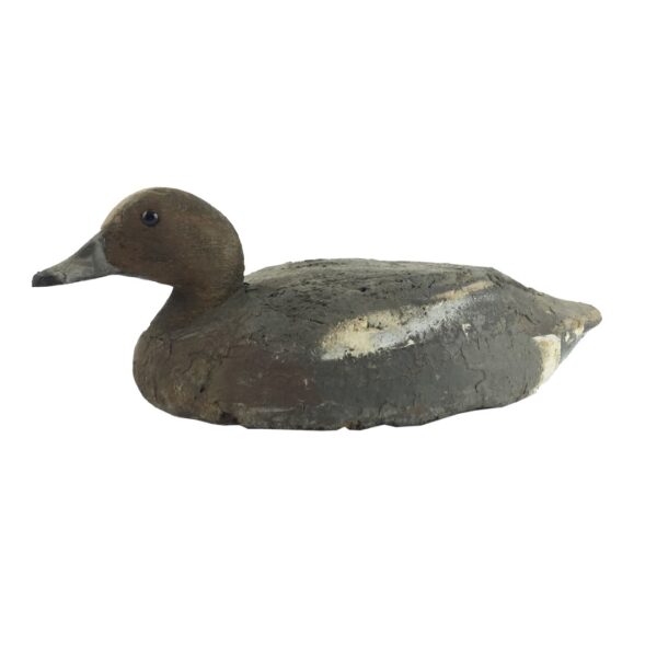 Pato señuelo