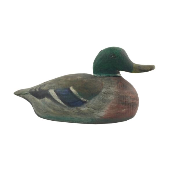 Pato señuelo