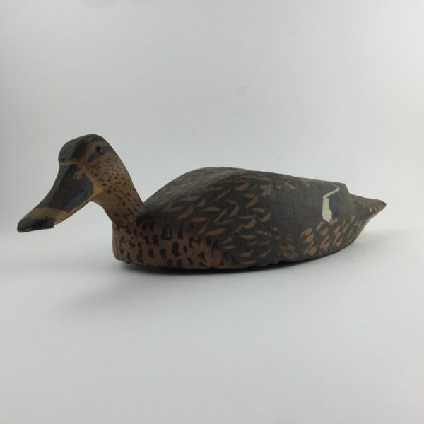 Pato señuelo