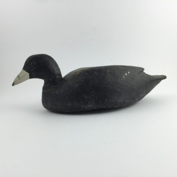 Pato señuelo