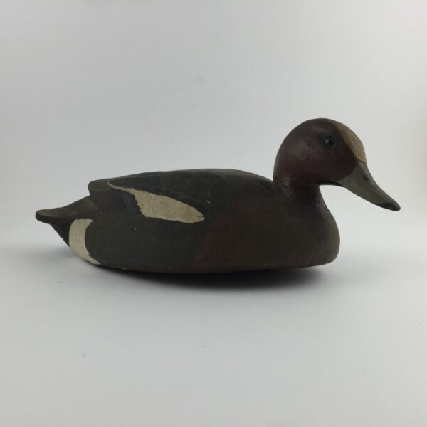 Pato señuelo