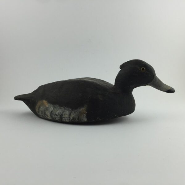 Pato señuelo