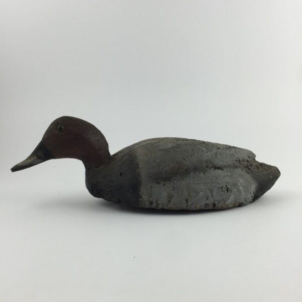 Pato señuelo