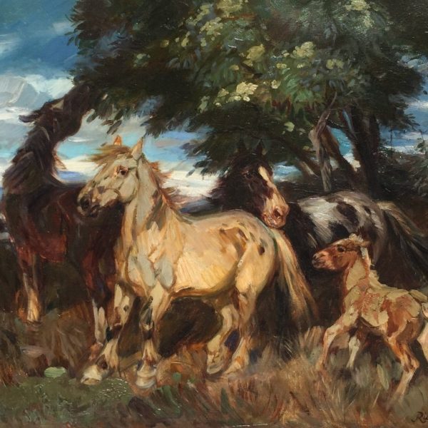 Rudolf Schacht