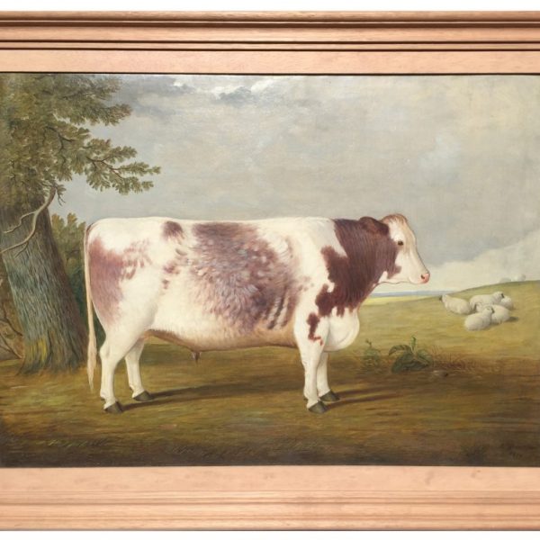 Robert Harrington