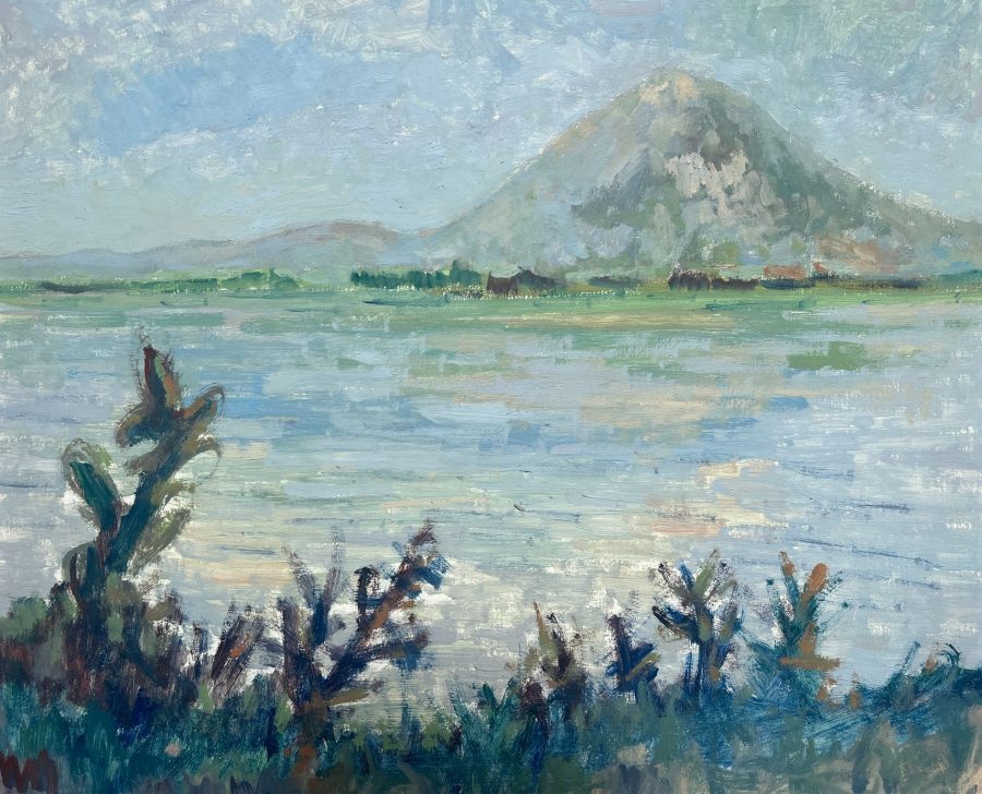 Eduardo Vernazza