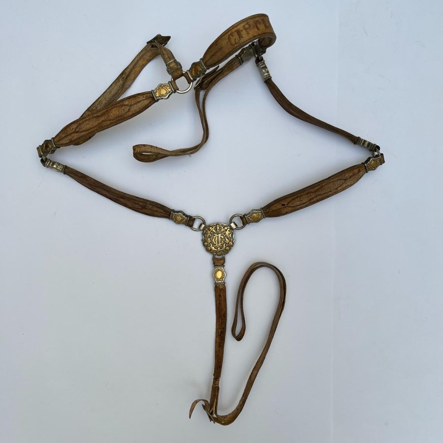 Pechera con plata y oro - Imagen 3