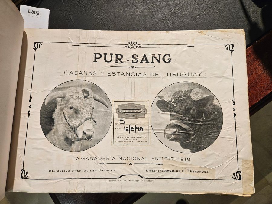Pur-Sang 1917 y 1918 - Imagen 2