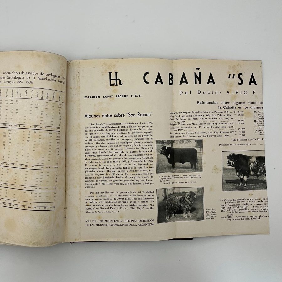 Criadores del Uruguay A.R.U. 1937 - Imagen 2
